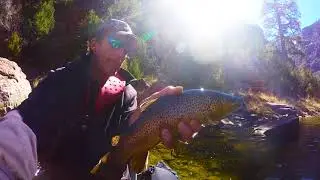 Dave Scadden's Slash Backcountry Float Tube Fire Agate Feeding Frenzy!!!