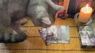 Важно знать! Таро расклад 🎴