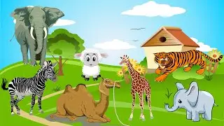 Animal Videos for Kids with Sound 2023 | BIRD | PUPPY | CAT | BEAR | DUCK