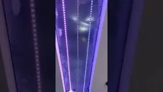 NoName IR LED контроллер из локального магазина за ~150₽