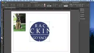 InDesign CC 2020 - Graphic Frames