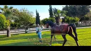 Erdemli sahili sabah bisiklet turu atıyoruz