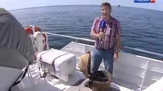 С-4. Россия 24: На Балтике простились с экипажем подводной лодки С-4.