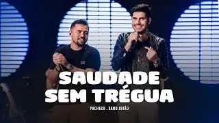 Pacheco - Saudade sem Trégua (7x1) part. Xand Avião
