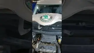 Жесть на СТО или где испаряется антифриз Skoda Fabia 1.4. Подогреватель картерных газов.