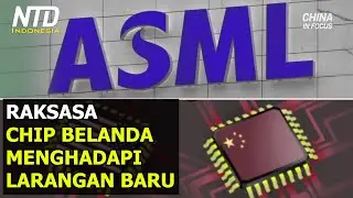 Raksasa Chip Belanda Menghadapi Larangan Ekspor Baru