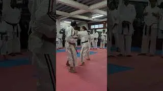1st Trinidad Koshiki Karatedo seminar clip3