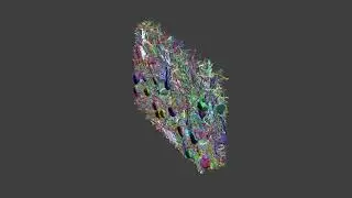 2022 First Place Video Winner: Neurons In Action