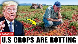U.S. Farmers in Tears: 7 Crops Rotting in the Fields – Is American Agriculture Collapsing?