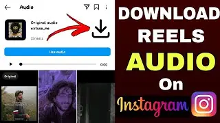 How To Download Instagram Reels Audio | Download Reels Audio On Instagram | Instagram
