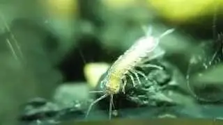 The little things...