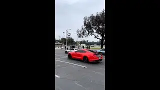 Rolling Through 🐍 
