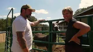 Training Our Rescue Donkey (w/ Josh Little John)