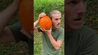 This fruit had a surprise inside…