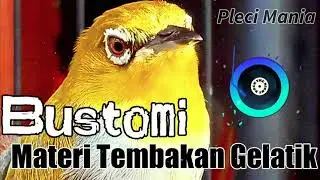Bikin Pleci Bustomi Nembak Gelatik Ga Pake Lama