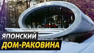 Дом раковина в природном парке