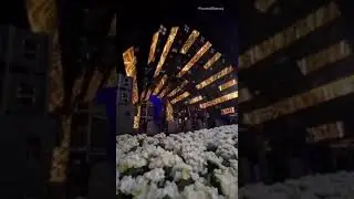 Casamento da Filha do Barão Agro custou   15 MILHÕES