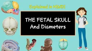fetal skull l fetal skull structure, sutures and fontanelles l fetal skull in hindi