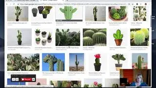 4 1  Add an Embedded Image to a Website with img