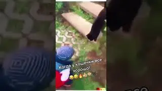 #дети