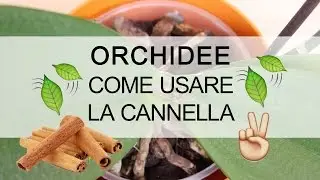 Orchidee - Come usare la cannella