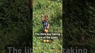 He love the goats and he want to taking care of it 