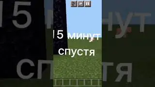 проверка порталов в незер