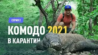 Путешествие на острова Комодо в карантин 2021. Часть 2