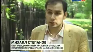 Безграничное пространство. ВДНХ, Останкинский парк и Ботанический сад теперь официально вместе