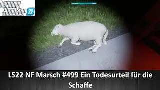LS22 NF Marsch #499 Ein Todesurteil für die Schaffe