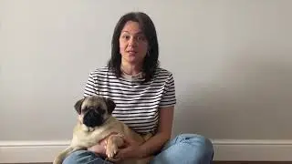 Питомец в доме🐕