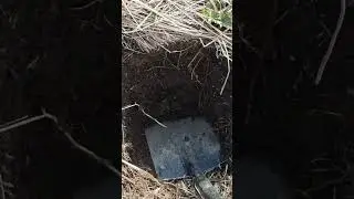 ДА НУ НА....! Не ожидал 😱.