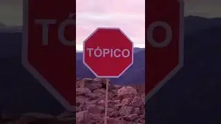 🐘🦒 ¿Te vienes de SAFARI FOTOGRÁFICO en busca de ANIMALES SALVAJES? 🦏🦍 
