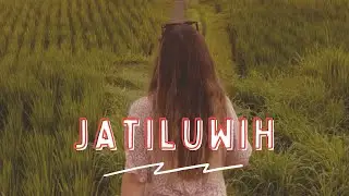 LOS RICE FIELDS MAS BONITOS EN BALI! #JATILUWIH