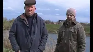 zvernennya