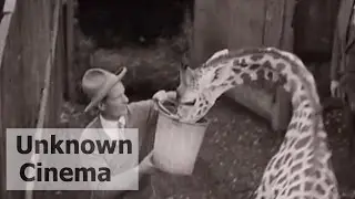 Directly out of the wilderness - Germany 1920's