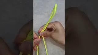Basic Knot #shorts #diy #tutorial#shortsyoutube