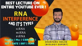 RNA interference | siRNA | miRNA | piRNA | Types of RNA interference | CSIR NET | SET | GATE | DBT