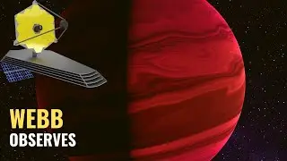 NASA’s Webb Reveals an Exoplanet Atmosphere as Never Seen Before.