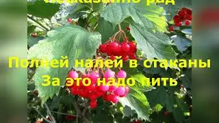 У окна калина .Караоке минус