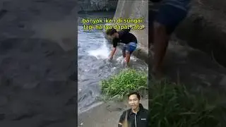 Tangkap ikan sebanyak ini #ikan #fish #fishing #fishingvideo