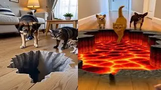 Pranking Animals With a Fake 3D Hole (Hilarious Reactions)