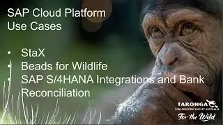 Innovation from SAP Allows Zookeepers to Spend More Time with the Animals | SAP TechEd in 2020