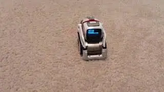 Cozmo tells the weather!