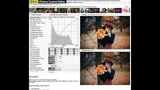📸 Cargar Pictures Control desde Picture Control Editor.📸