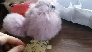 открываю адвендт календарь на январь (22 января)