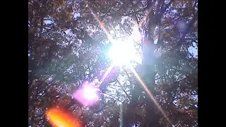 Let The Sunshine In (original song)
