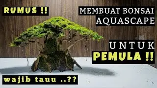 Step by step CARA MEMBUAT BONSAI AQUASCAPE untuk PEMULA !!