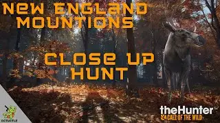 Close up hunting highlights | New England reserve | theHunter: Call of The Wild | New England
