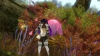 Archeage PvP без персоналок/ PJP vs Тиргы vs Рептил